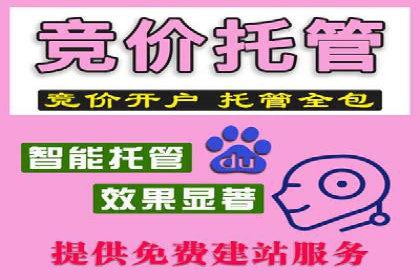 SEM优化师实战：助力企业实现低成本高回报